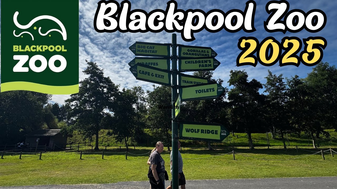 Family Fun at Blackpool Zoo 2025: Is It Worth Your Time?
