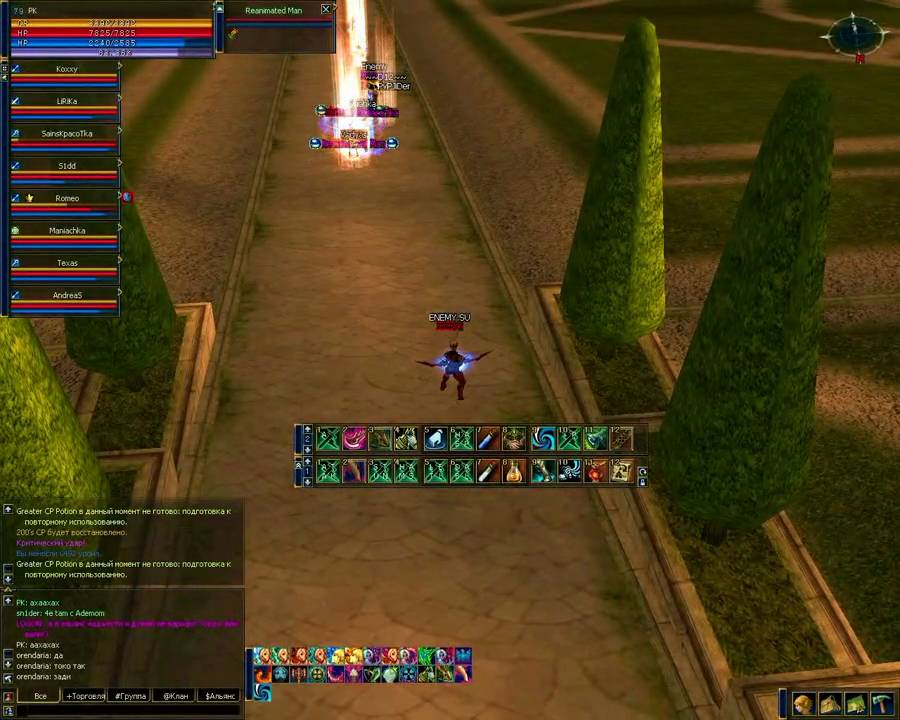 Lineage Best PVP movie - l2 PK Alliance Enemy  