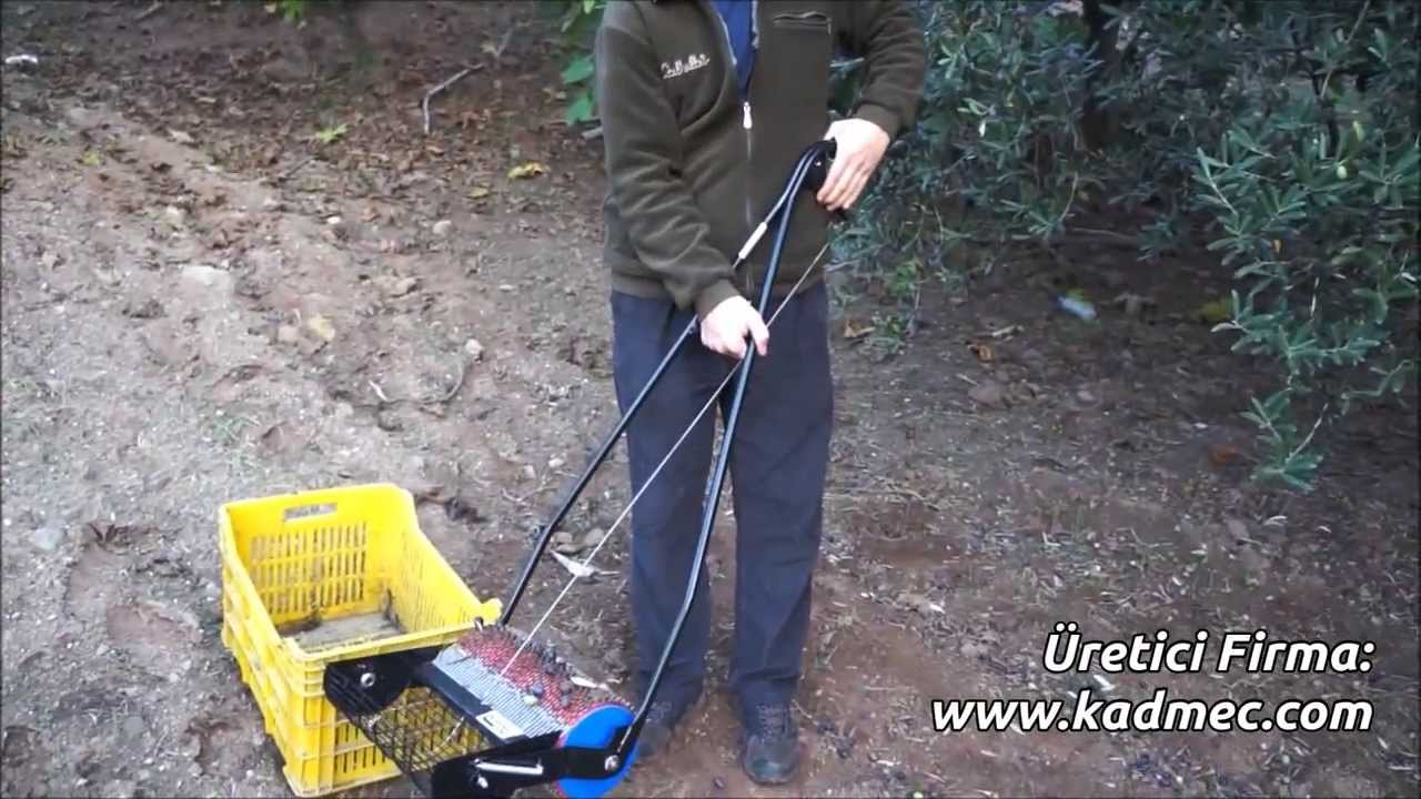 Yerden Dip Zeytin Toplama Aleti