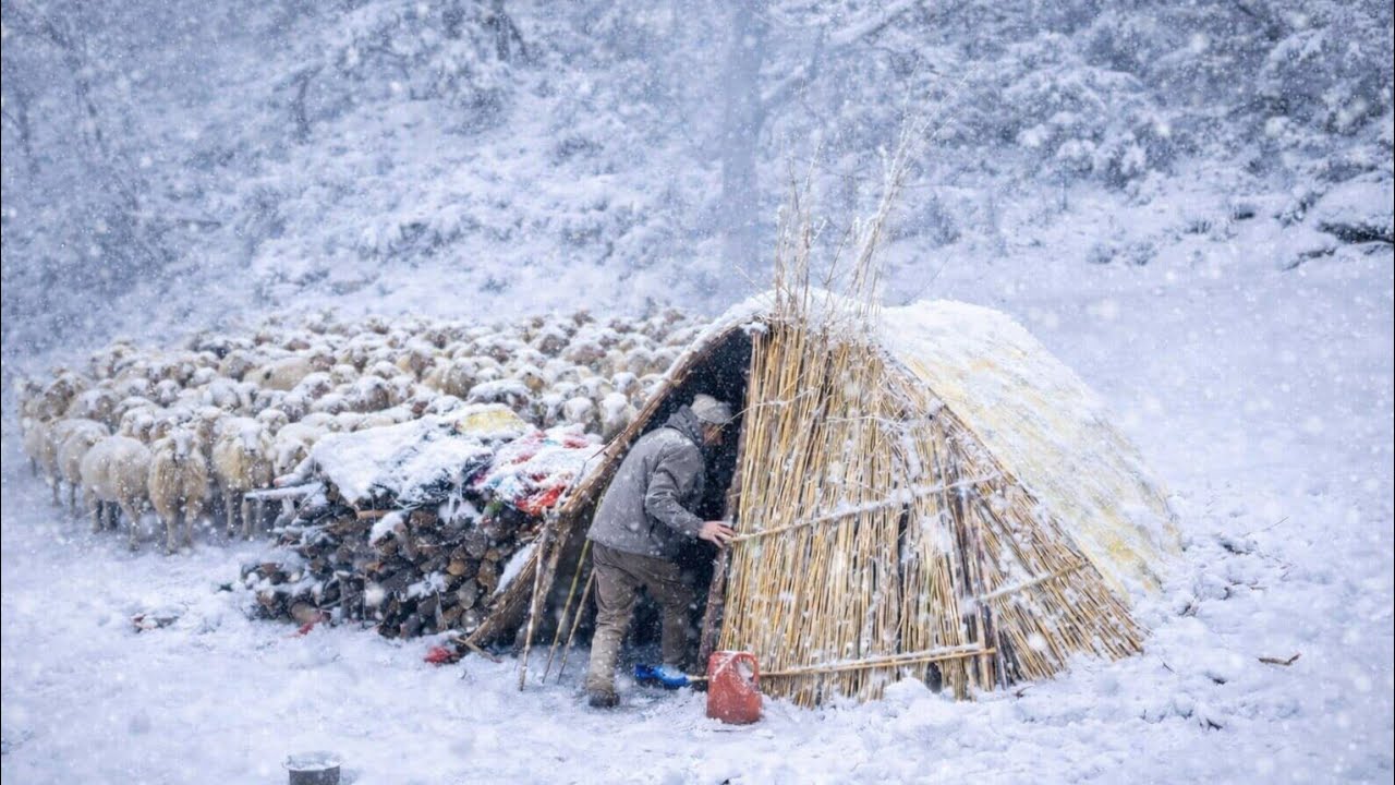 Best In A Himalayan Shepherd Lifestyle During The Snowfall Couldest Winter Season Beautiful Place.🇳🇵