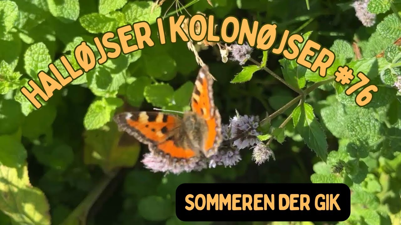 Sommeren der gik #76 - 26. august 2025