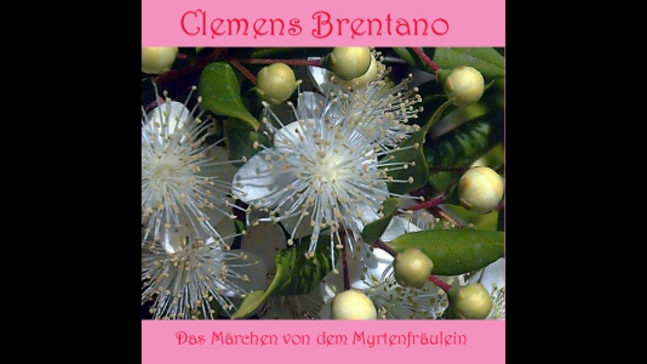 Das Märchen von dem Myrtenfräulein - Clemens Brentano