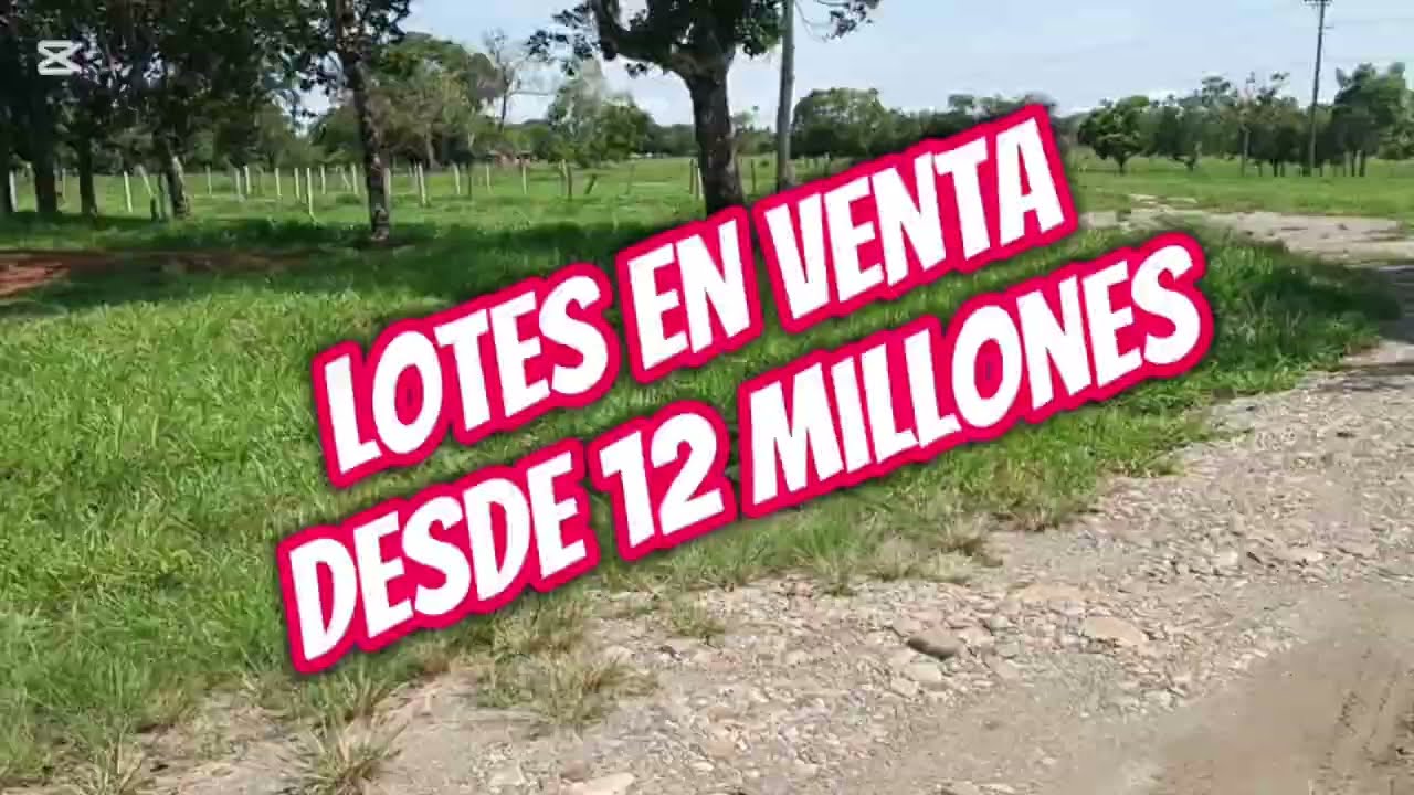 🌲✅LOTES DESDE 12 MILLONES 🏡🏠