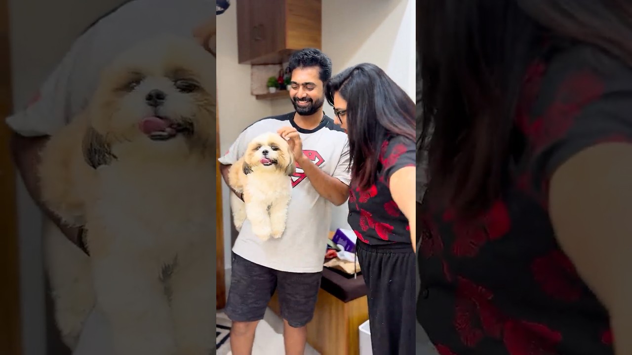 Mogudu pellam madhyalo Remo endhuku? 😂 #ishqyouall #swv #telugu #comedy #funny #youtube #shorts