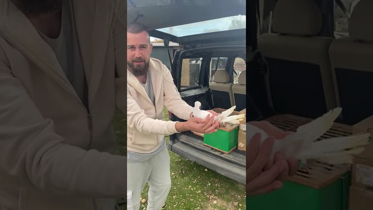 🔥🔥🔥PAZARTESİ AKŞAMI CANLI YAYINDA OLACAKLAR🔥🔥🔥