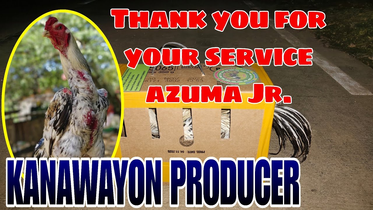LIPAT  YARD NA ANG AMING DUMPO KANAWAYON PRODUCER NA SI AZUMA