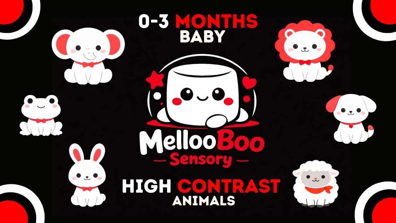 Black & White Baby Sensory Video (0–3 Months) | High Contrast Animals