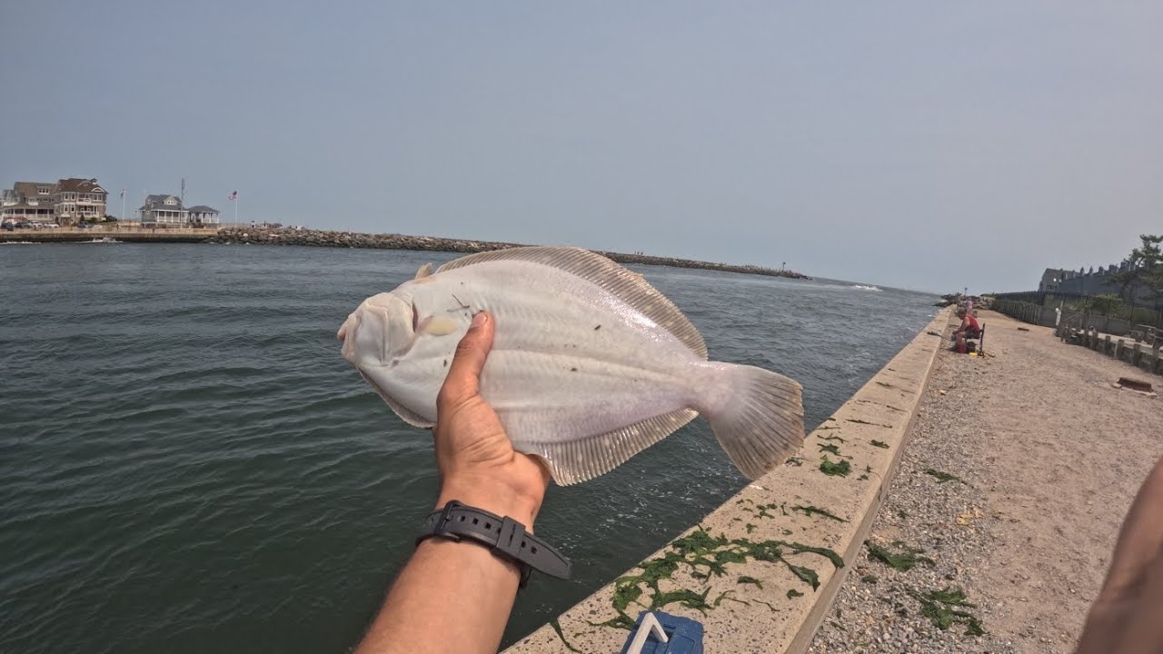 Fishing for fluke at manasquan inlet NJ Spring 2025