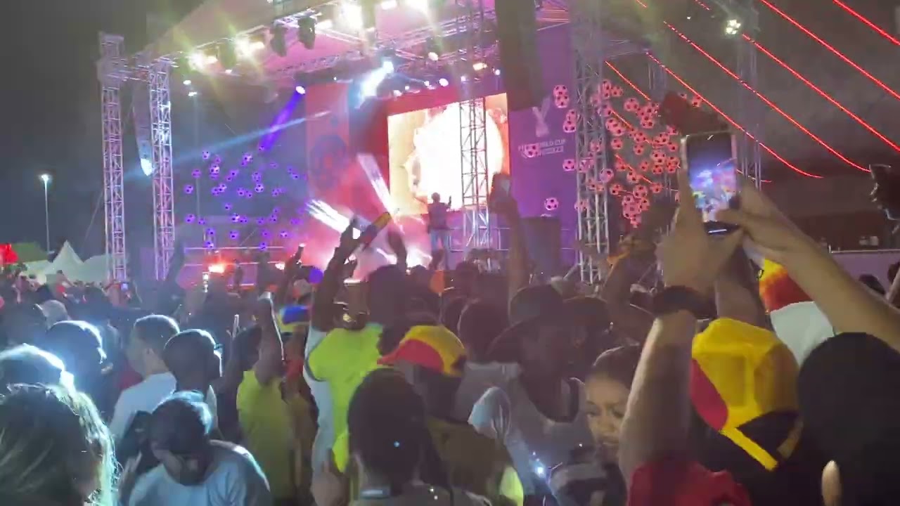 Senegal fans celebrate after Senegal - Ecuador 2:1 (2022 Fifa World Cup)