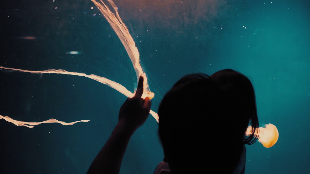 Let's Go La Via - Jakarta Aquarium