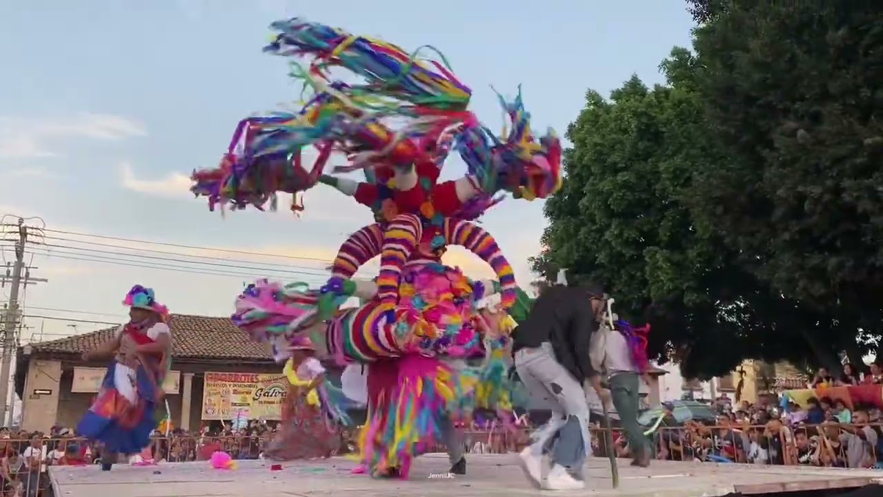 Concurso toros de petate 2025 Álvaro Obregón, Michoacán