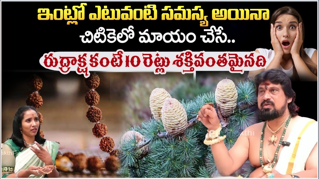ఇంట్లో ఎటువంటి సమస్య అయినా చిటికెలో మాయం చేసే రుద్రాక్ష కంటే |ShivaNarasimhaTantri | #redtvbhakthi