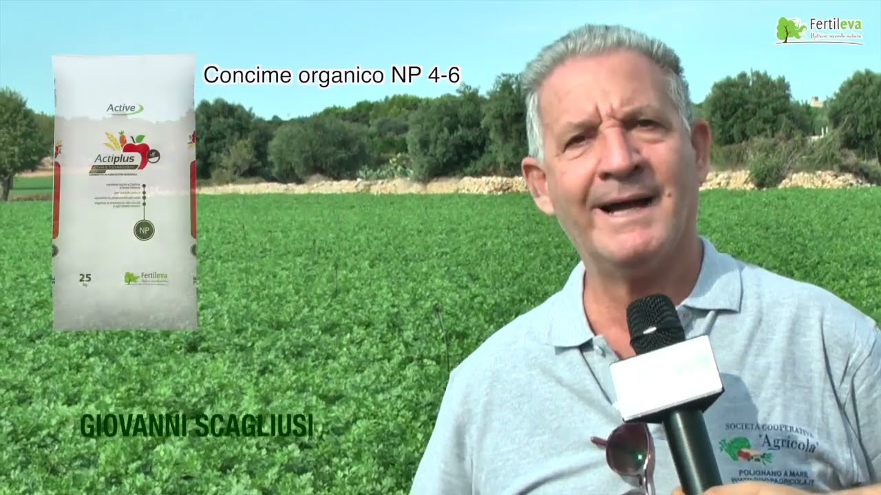 CONCIMI FERTILEVA  AGRICOLTORI E TECNICI RACCONTANO LA LORO ESPERIENZA IN CAMPO
