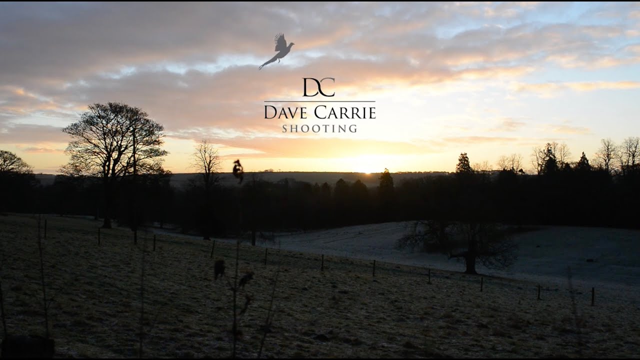 High Birds In The Sun (Dave Carrie Shooting)