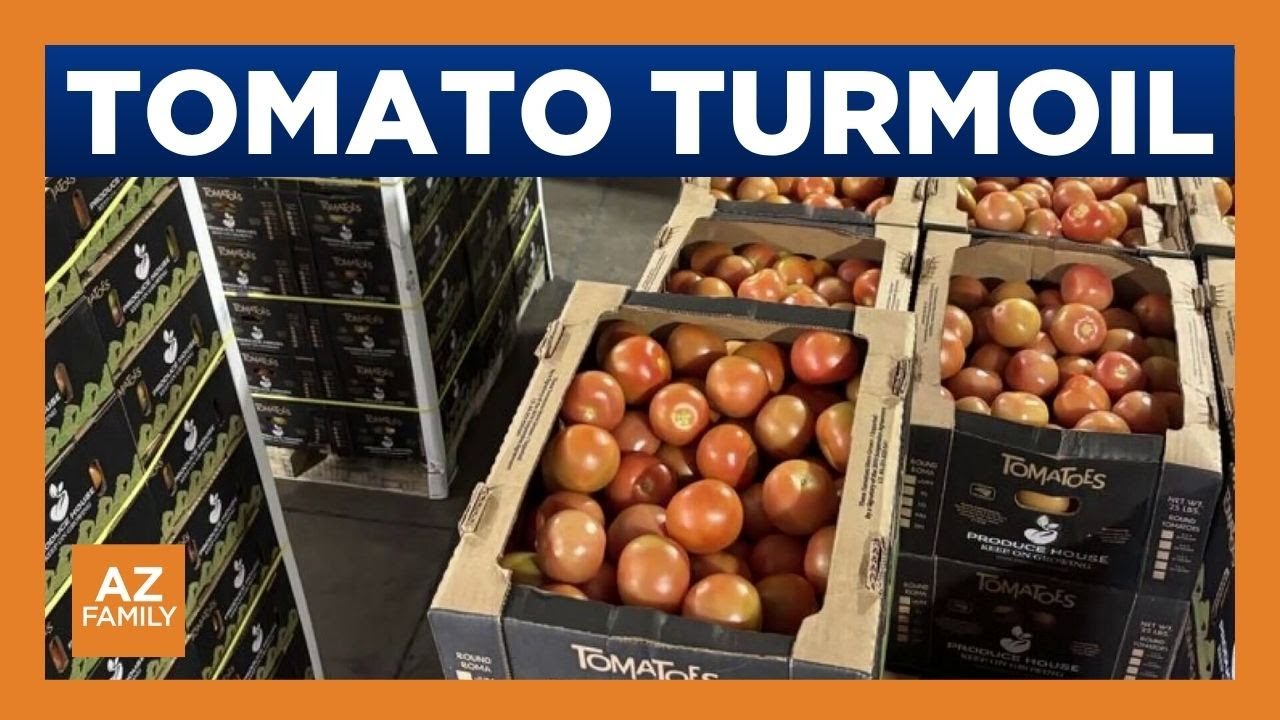 Tomato trade shake-up threatens southern Arizona jobs