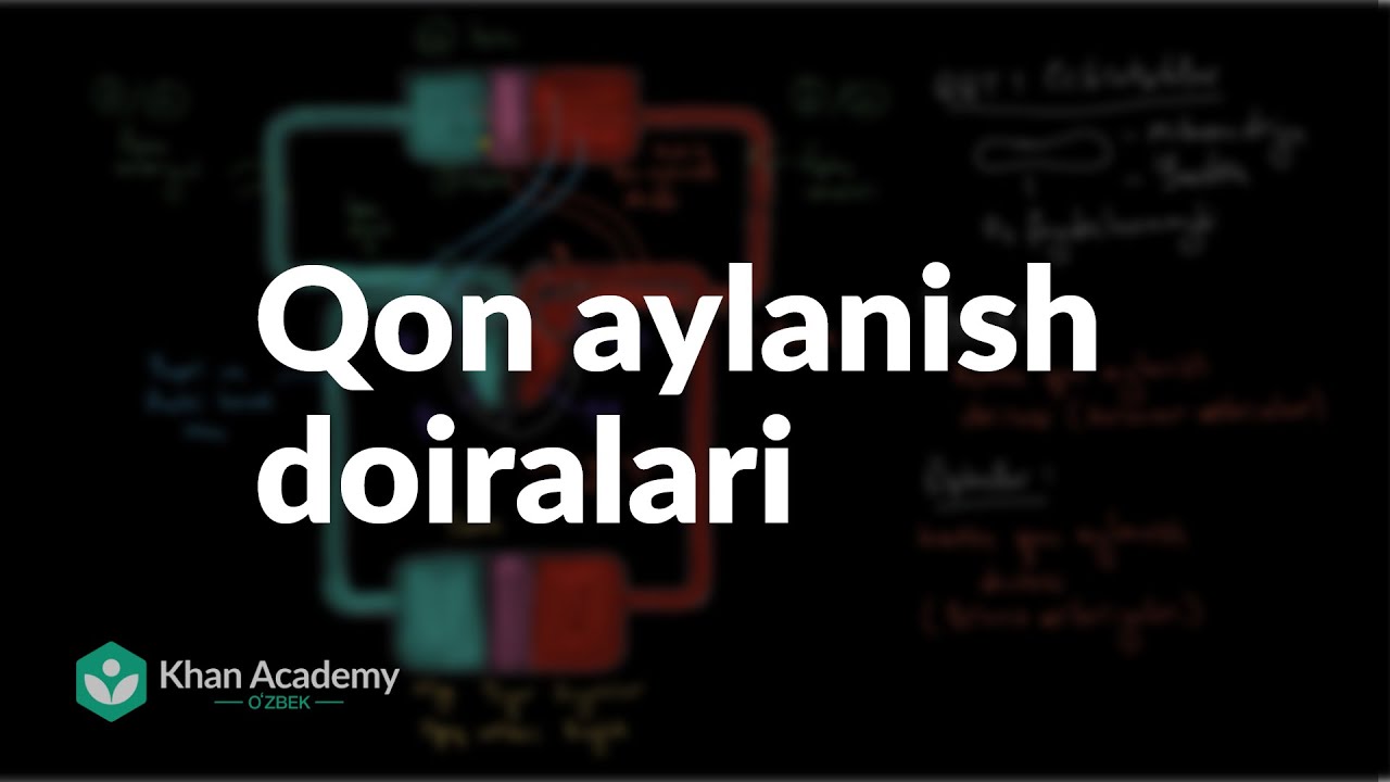 Qon aylanish doiralari | Qon aylanish tizimi | Tibbiyot