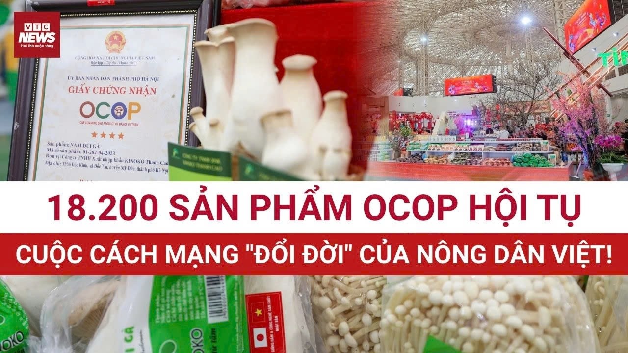 Hội chợ Quốc gia Mùa Xuân 2026: OCOP khẳng định vị thế sản phẩm bản địa Việt Nam | VTC News