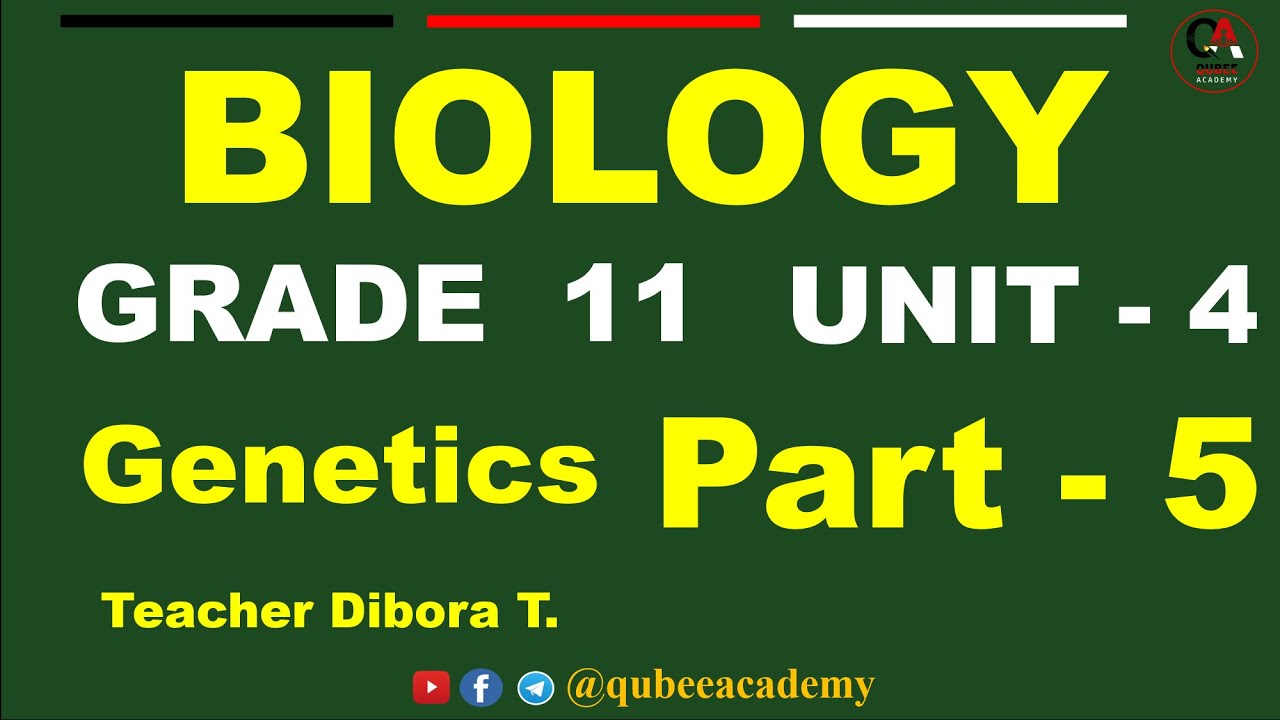 5. Grade 11 Biology Unit 4 : Genetics | Part 5 : Protein Synthesis | Qubee Academy @QUBEEDIGITAL