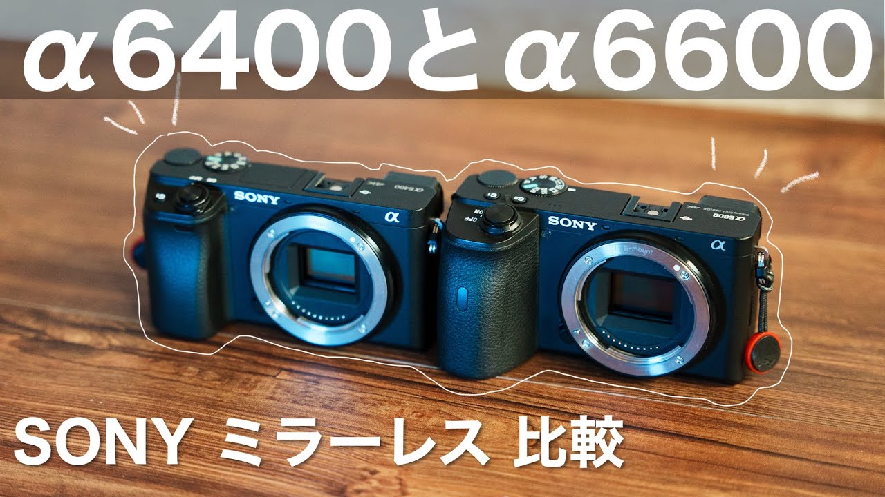 【比較】人気のα6400とα6600の違いを解説します | ソニー ミラーレス APS-C