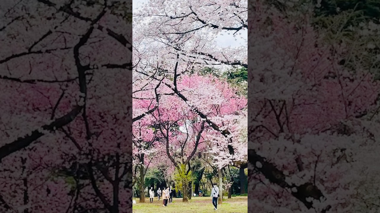 Tokyo, Japan