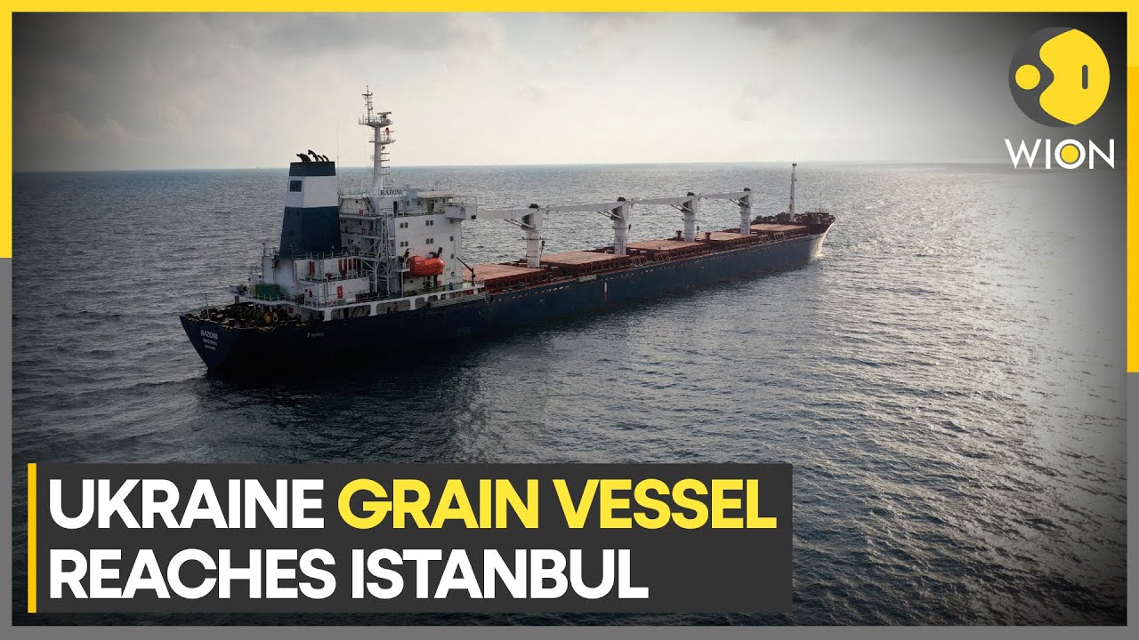 Ship with Ukraine grain back in Turkey under 