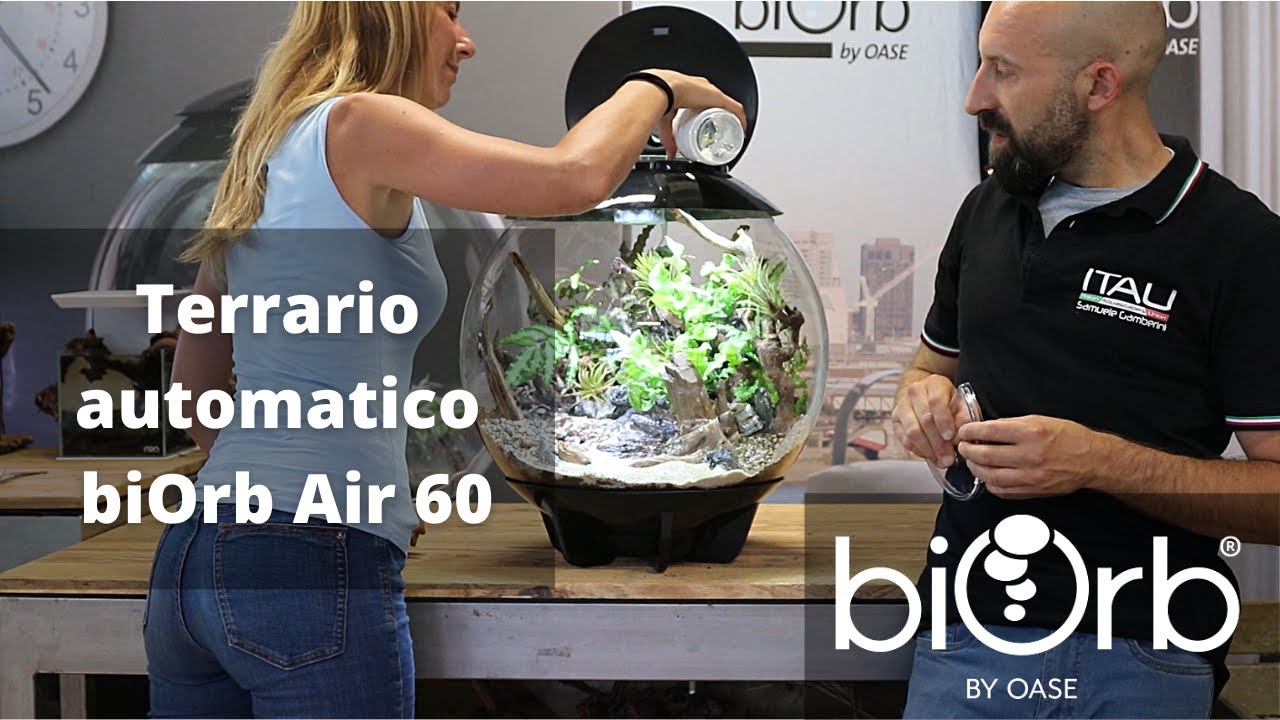 TUTORIAL - Terrario automatico Air 60 con Samuele Gamberini - BiOrb by Oase