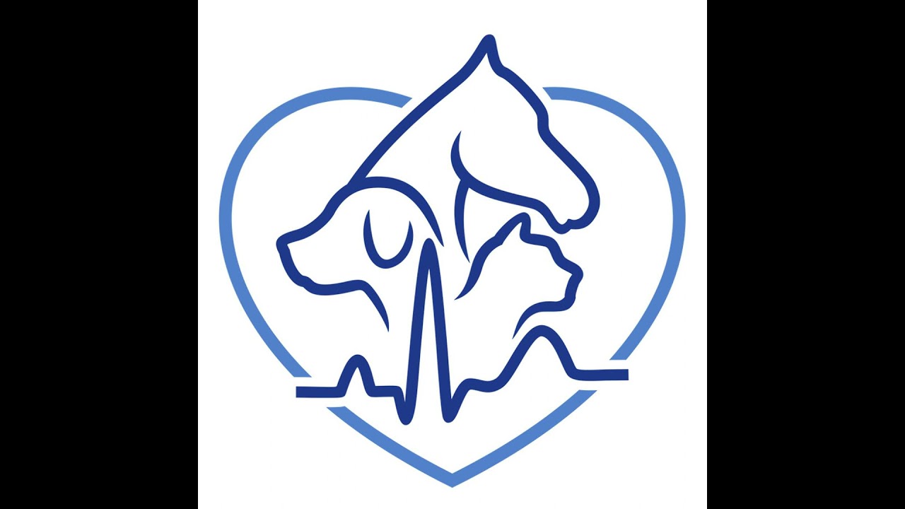 Cardiology icons 1: Prof. Sydney Möise on cardiac arrhythmias