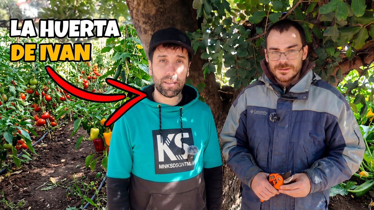 La huerta de Ivan nos explica sus trucos para mejorar los cultivos del huerto.