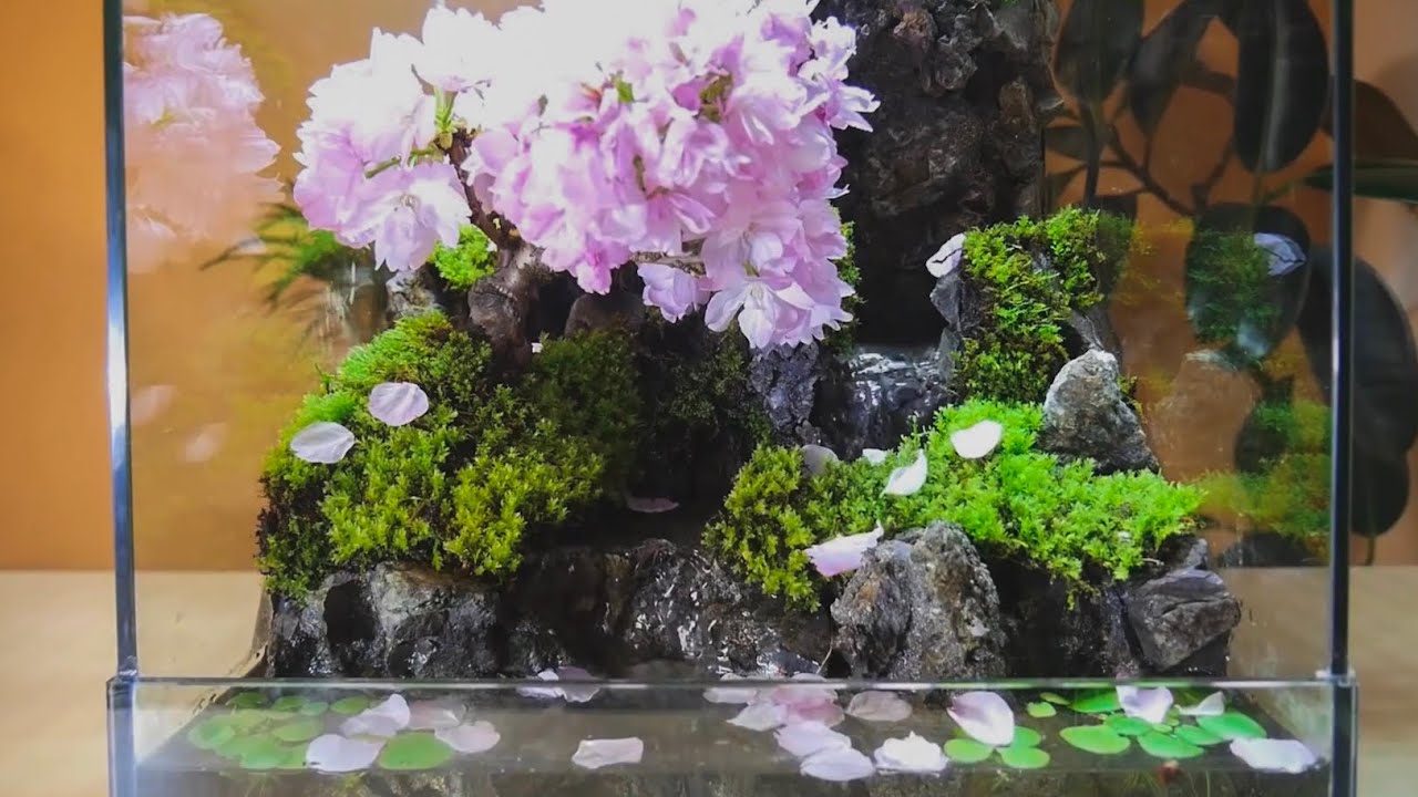 Making a Cherry Blossom Aquaterrarium