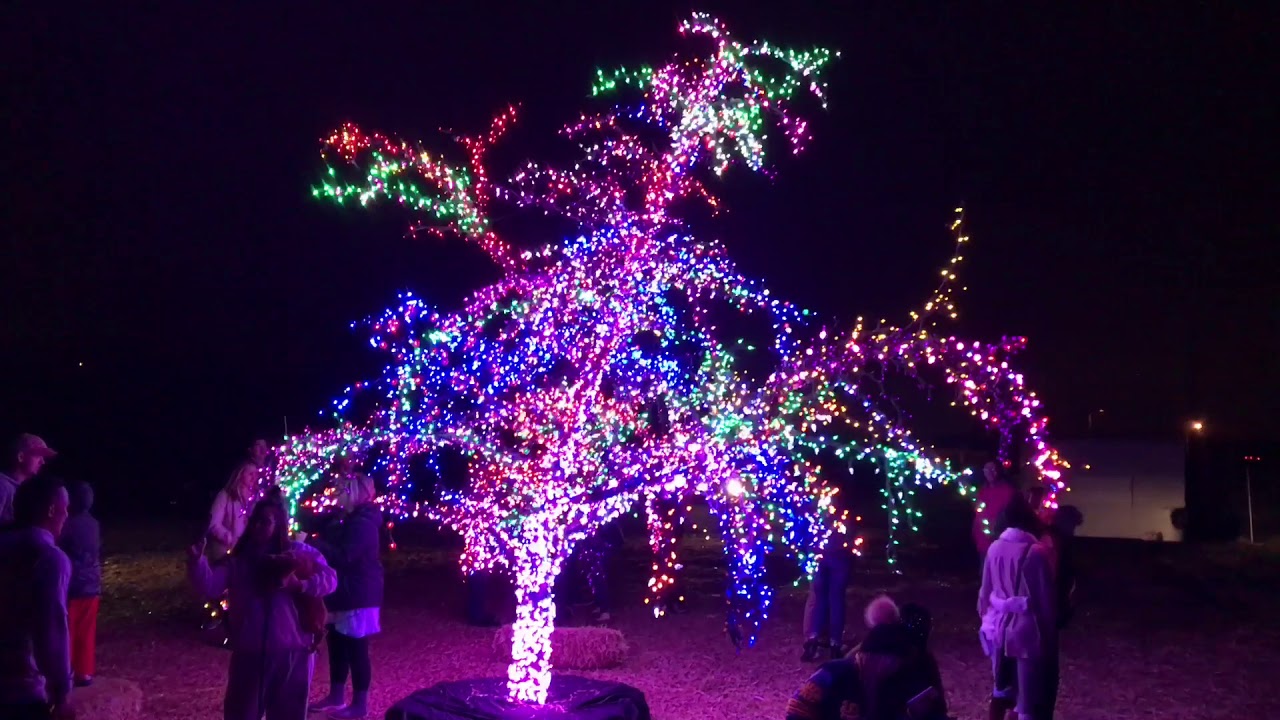 The Magic Christmas Tree - Lee’s Summit