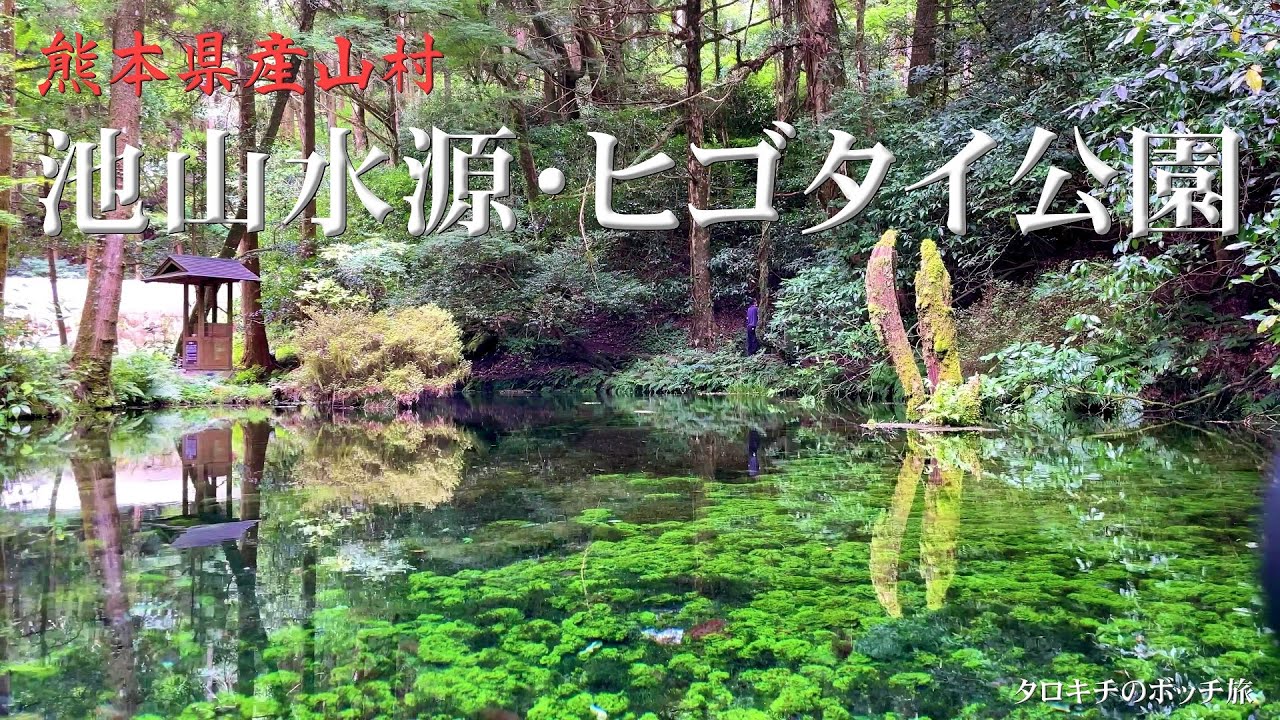【熊本】池山水源とヒゴダイ公園　熊本最高峰の名水が湧き出る阿蘇産山村の綺麗な水源と氷河時代の残存植物で「絶滅危惧種」は夏の花ヒゴダイを紹介