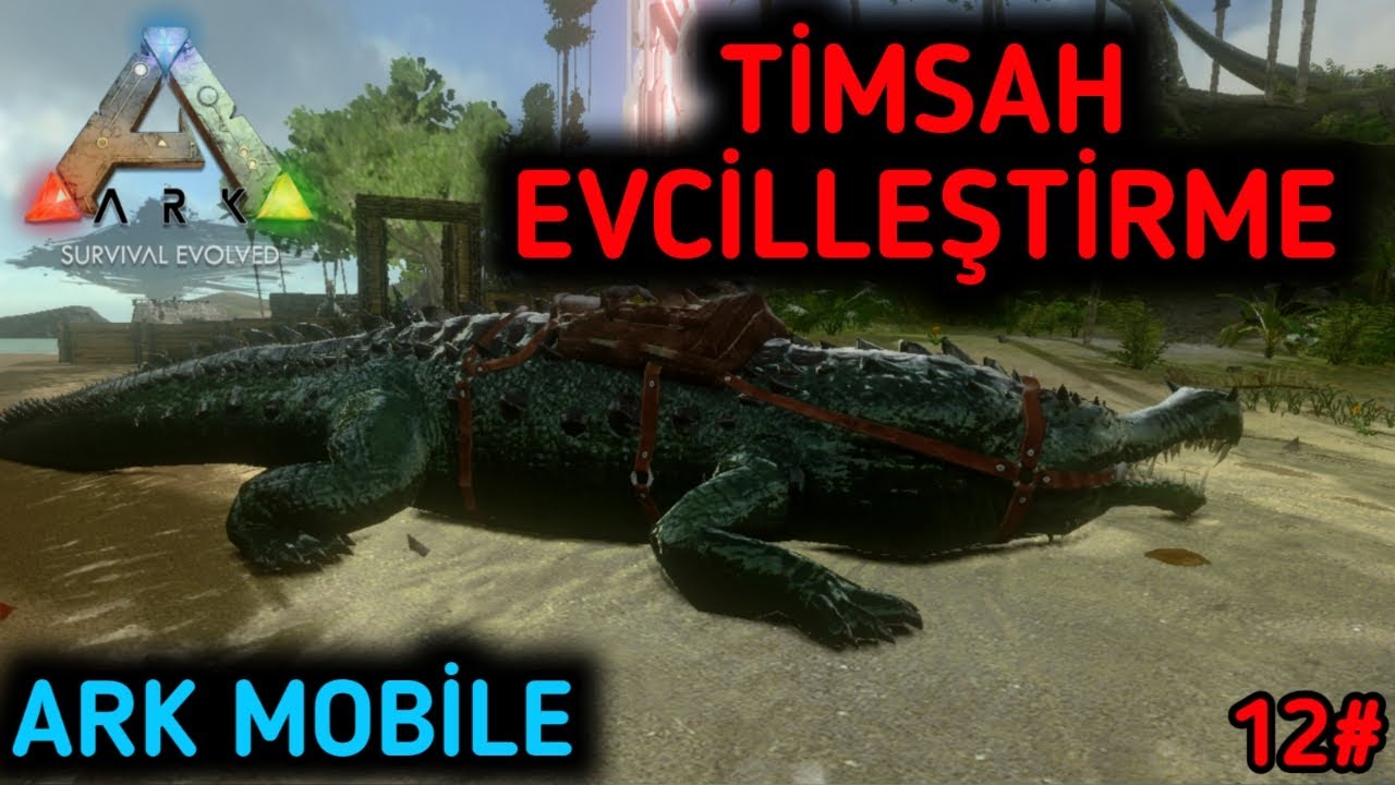 SARCOSAURUS EVCİLLEŞTİRME - TİMSAH EVCİLLEŞTİRME 12. B&ouml;l&uuml;m - (Ark Mobile Sarco Evcilleştirme)