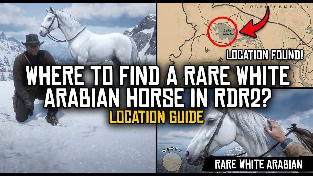 Where to Find the RAREST White Arabian Horse in RDR2 (Exact Location!) 