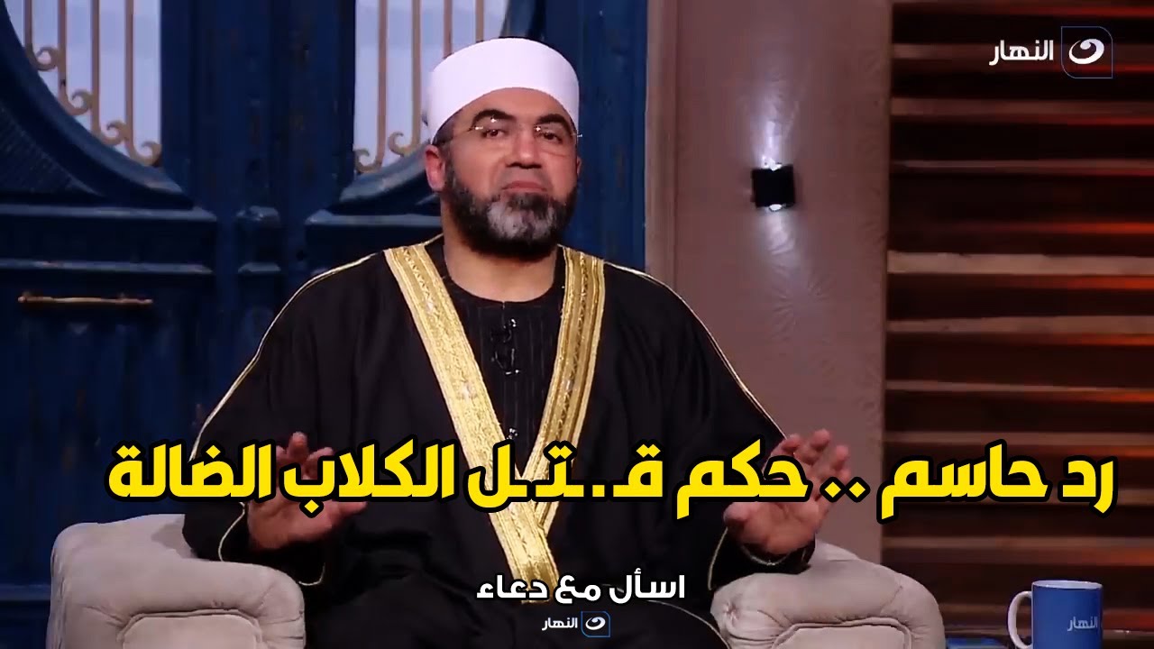 حكم قتل الكلاب الضالة في الشوارع اللي بتسبب الرعب و الأذي و رد حاسم من الشيخ