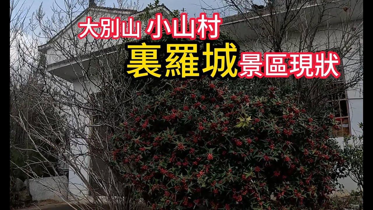 河南省商城縣里羅城村，村民家里让我震惊，一起看看吧