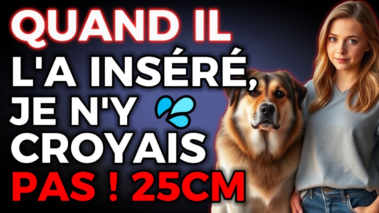 🐾 Une villa, un chien et des secrets inattendus