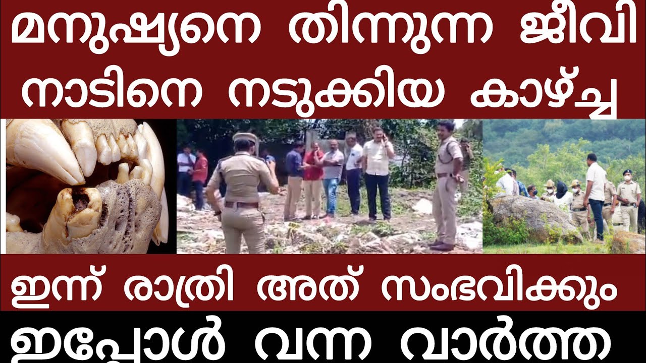 വൻ ദുരന്തം.. മനുഷ്യനെ തിന്നു തീർക്കുന്നു | Breakingnews | Keralapolice | 