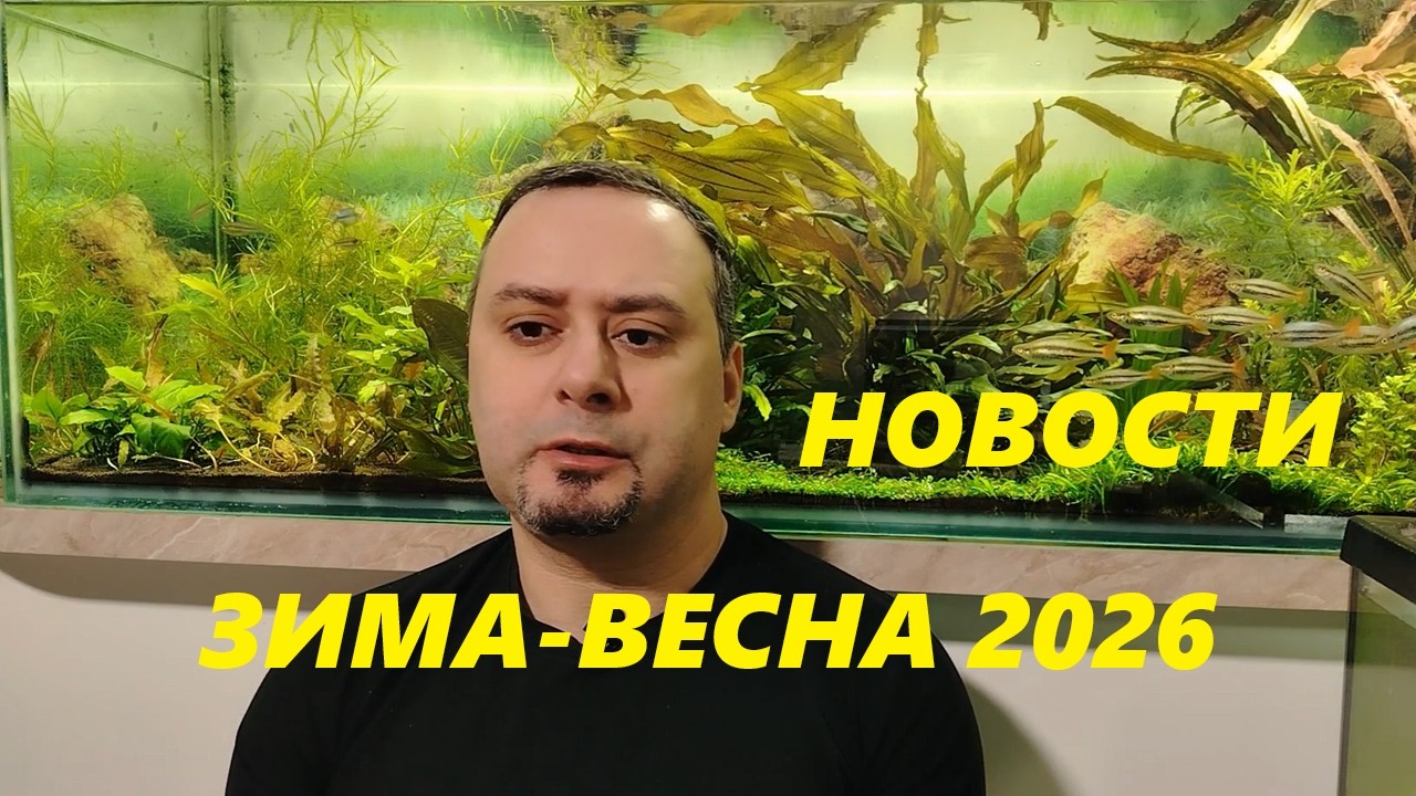 Новости. Зима - Весна 2026.