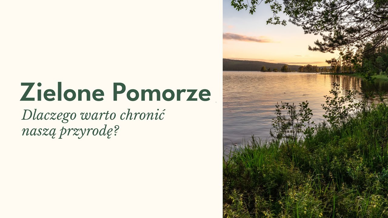 Zielone Pomorze. Dlaczego warto chronić naszą przyrodę?