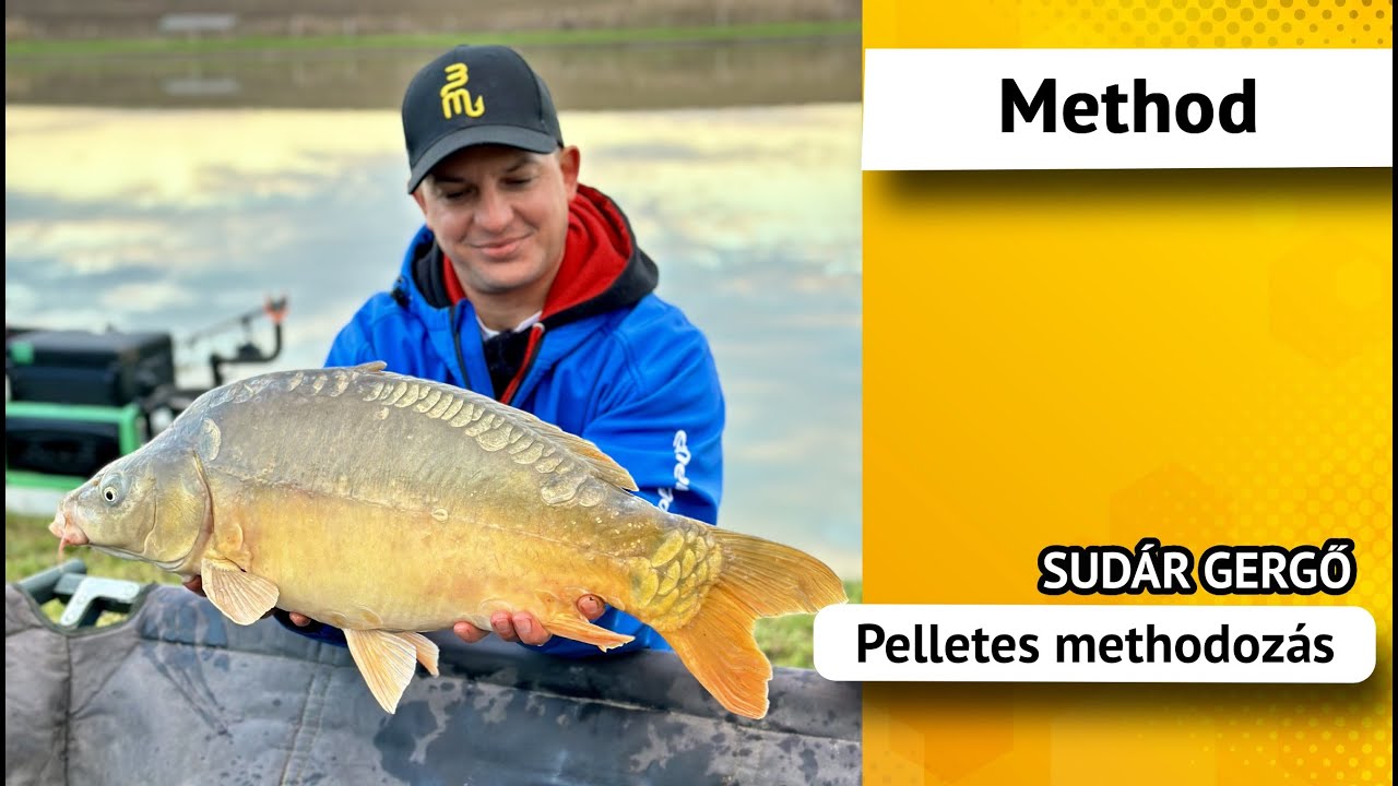 Pelletes methodoz&aacute;s Sud&aacute;r Gergővel - Gy&uuml;m&ouml;lcsnapi pontyok