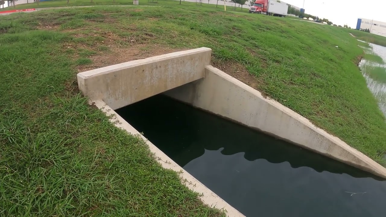 Bass Fishing in Arlington, Texas