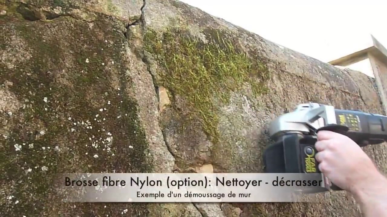 R&eacute;novateur ext&eacute;rieur &agrave; brosse 1300 W - REX 120B