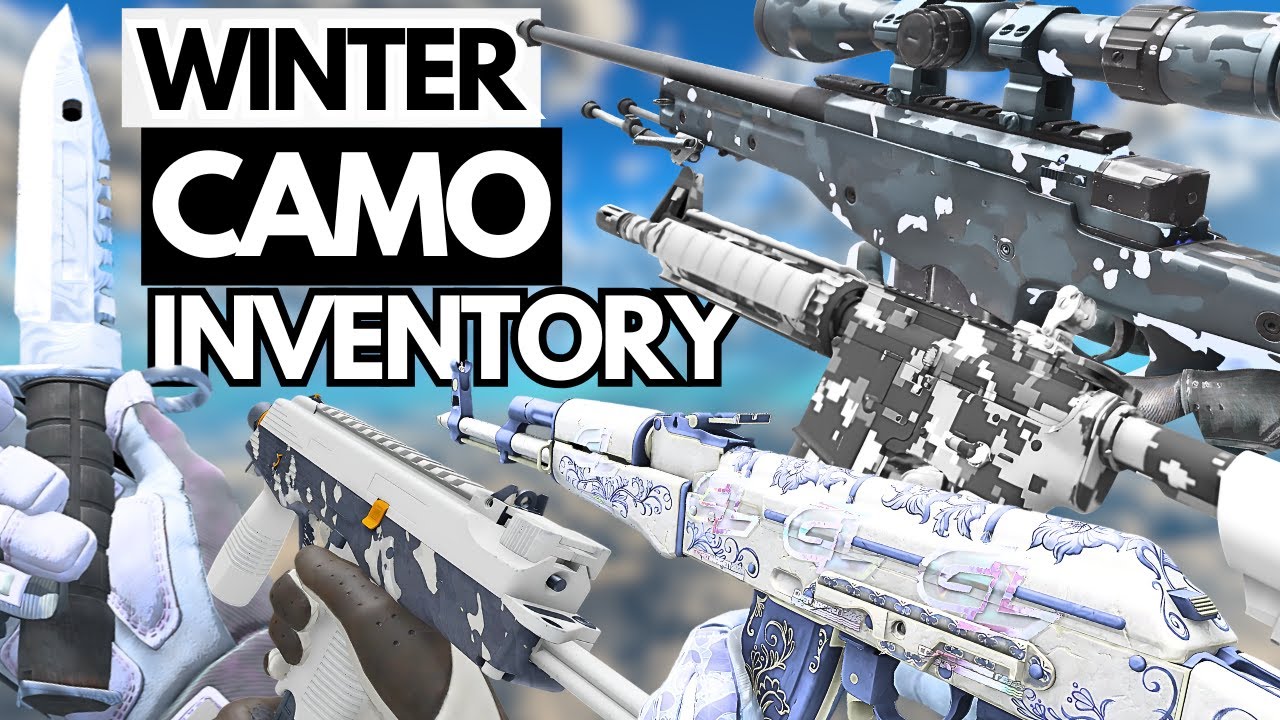 BEST Camo Inventory in CS2 (ALL Budget Winter Skins 2026)