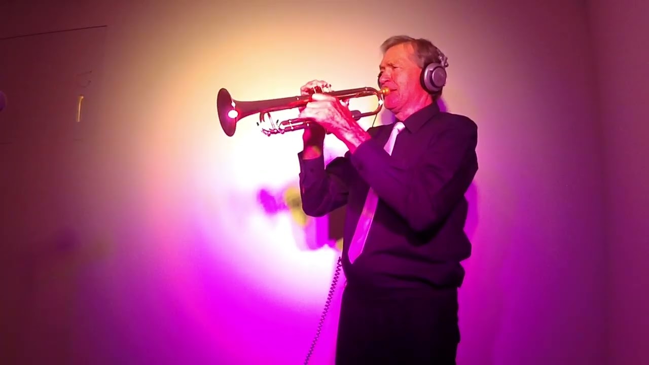 Der TromPeter - Fields of Gold 🎺🪙