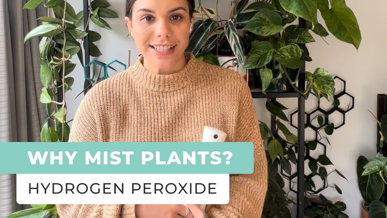 Plant Misting As Nature Intended Using the Mister 360 & Hydrogen Peroxide - Oxygen Plus