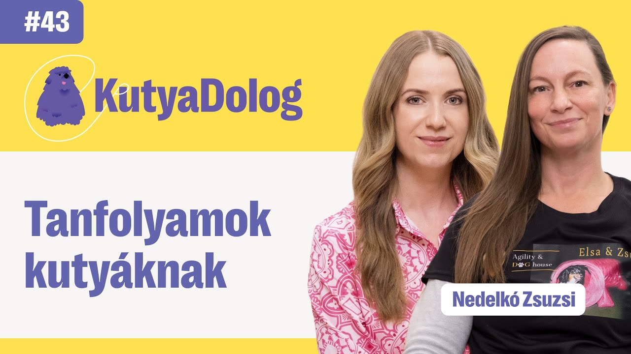 Agility, mantrailing, obedience? Kutyaiskolától a tanfolyamokig | KutyaDolog podcast #43