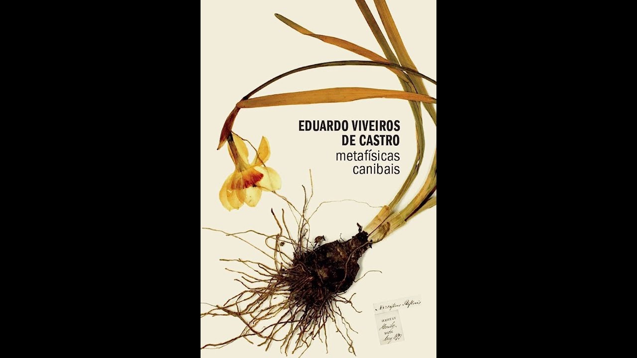 3 - A VIRADA ONTOLÓGICA - leitura da obra Metafísicas Canibais