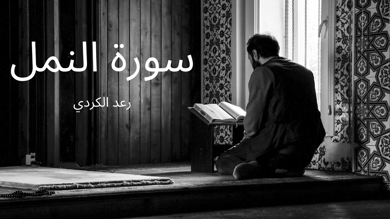 سورة النمل مكررة القارئ رعد الكردي