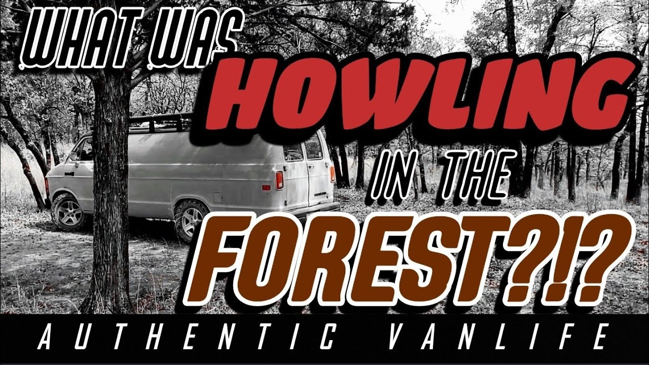 *AUDIBLE VOCALIZATIONS* //Normal Vanlife Day Turns Creepy!!!
