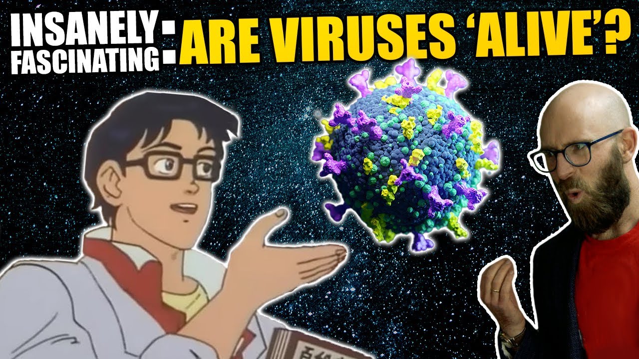 Are Viruses Actually a Life Form?